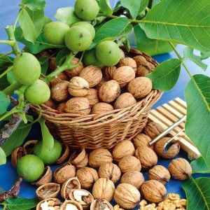 مغز گردو ایرانی و فواید آن